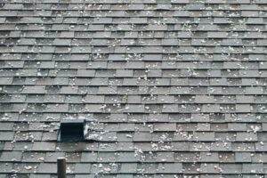 Close-up of hail-damaged asphalt shingles on a residential roof in Greeley, Colorado