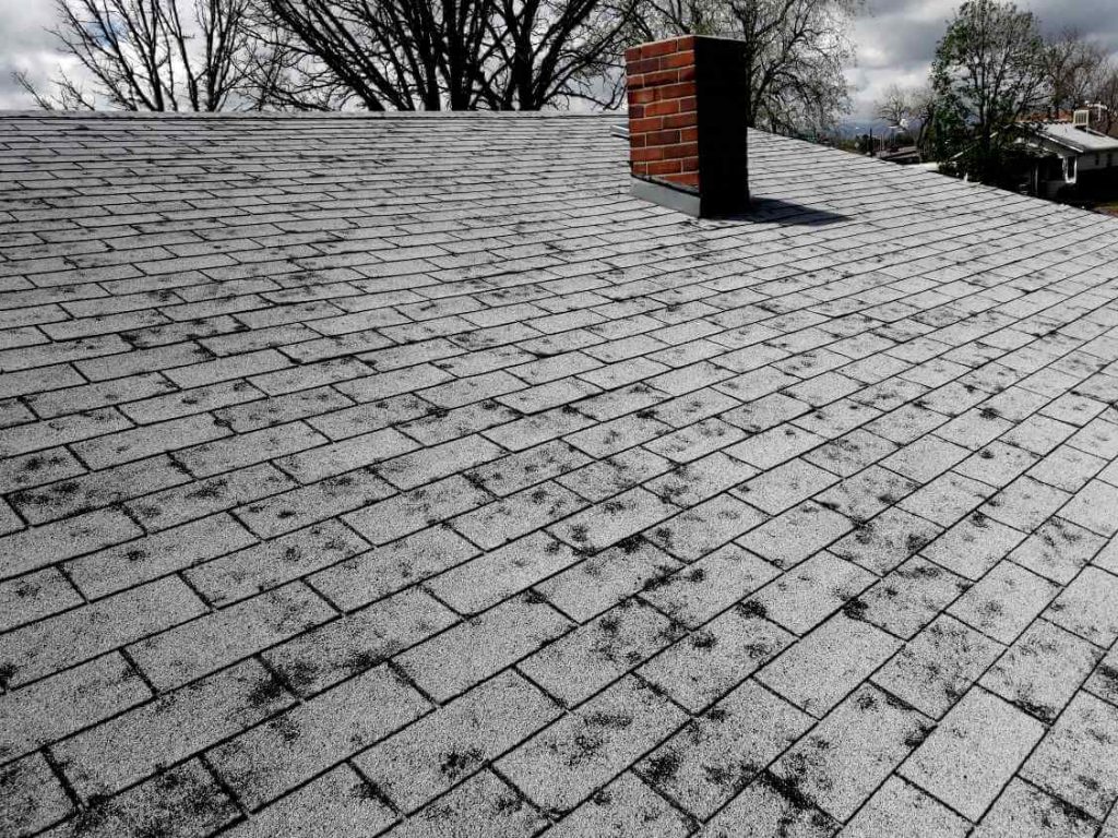 Hail damage identified during professional roof inspection at Fort Collins, CO home