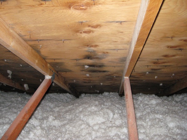 Professional inspector conducting attic assessment as part of complete roof inspection at Fort Collins, CO home